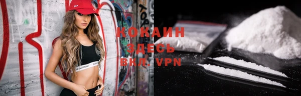 ПСИЛОЦИБИНОВЫЕ ГРИБЫ Каменка