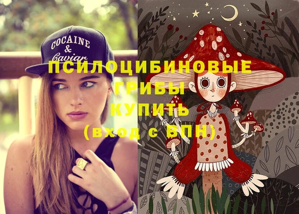 ПСИЛОЦИБИНОВЫЕ ГРИБЫ Каменка